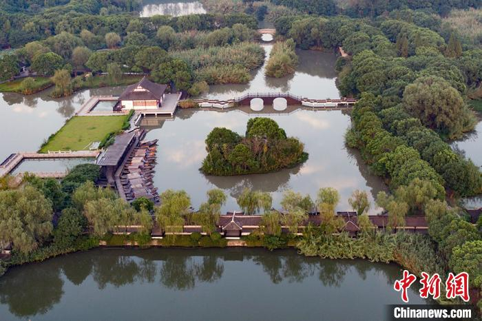 沙家浜河浜纵横，芦苇密布。　泱波 摄