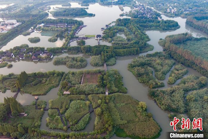 放眼望去，芦荡浩浩，苇草青青，一望无际。　泱波 摄