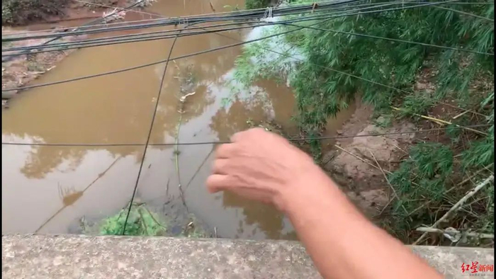 肖珍莉落水区域