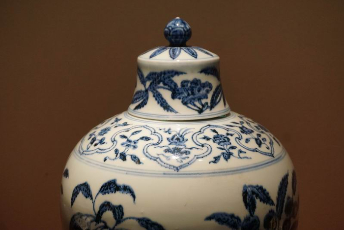 青花折枝瑞果纹带盖梅瓶局部