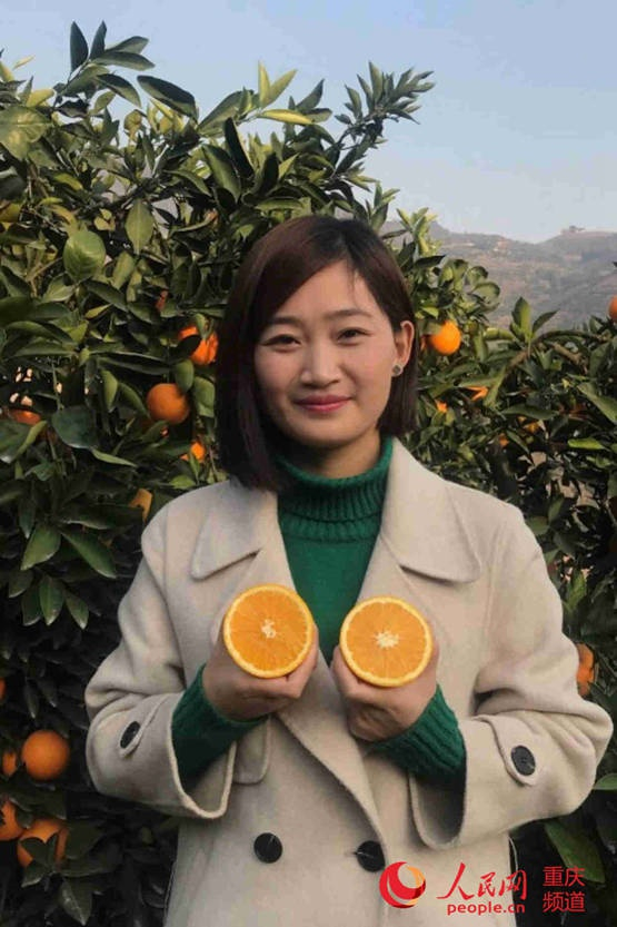 “葱花儿”在果园里采摘脐橙。 受访者供图