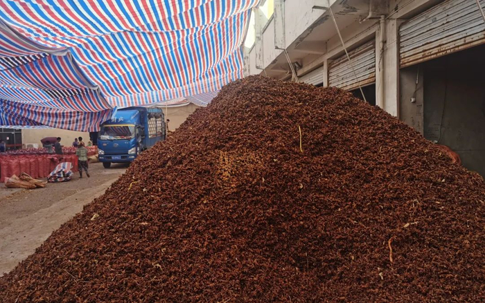 ▲广西南宁市高峰天然香料物流中心内店铺前堆放的八角，这批八角均被硫磺熏过，有强烈的刺激性味道。新京报记者&nbsp;王瑞文&nbsp;摄