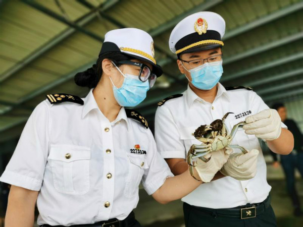 图说：全部项目检测合格后，海关予以通关放行。上海海关供图