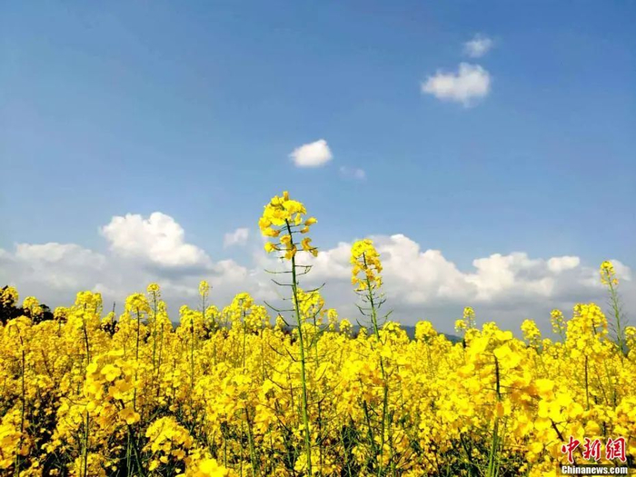资料图。朱晓轩 摄