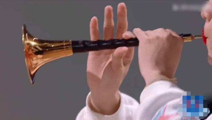 来源：视频截图。