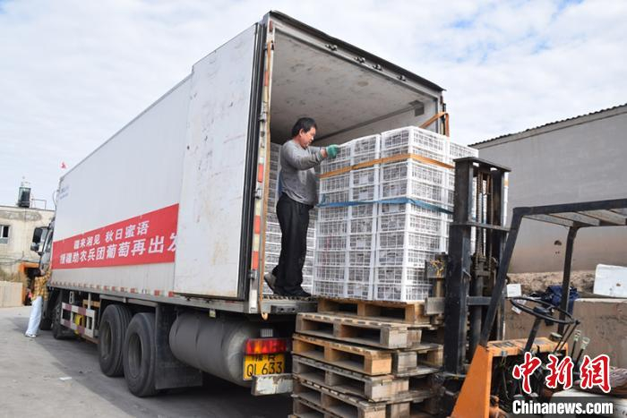     产自新疆兵团第六师共青团农场的第二车葡萄装车发往湖南。新疆兵团党委宣传部供图