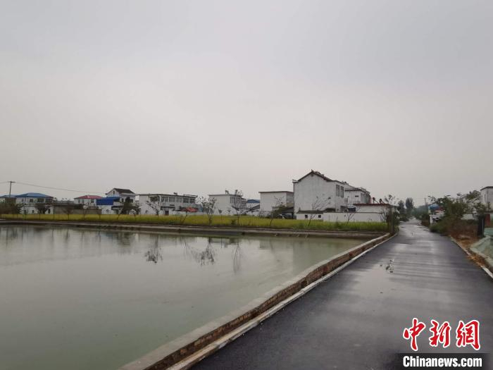 天下第一塘——安丰塘边的乡村。　张强 摄