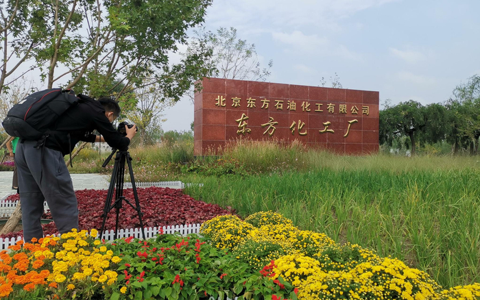 东方化工厂旧厂区标识墙作为工业遗存被保留下来。新京报记者 张璐 摄