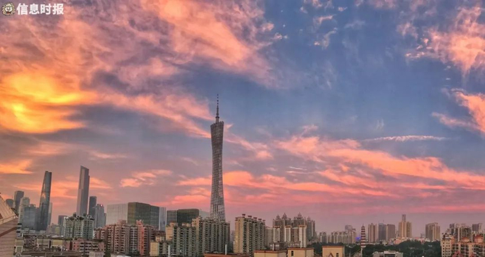 信息时报资料图 记者 陆明杰 摄