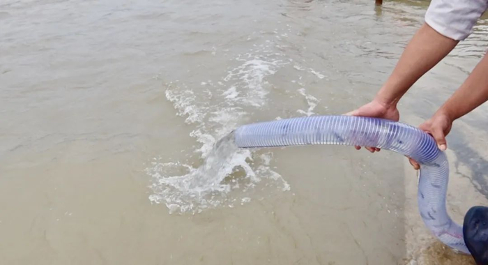 多规格的圆口铜鱼苗种同步放流。龚浩月 摄