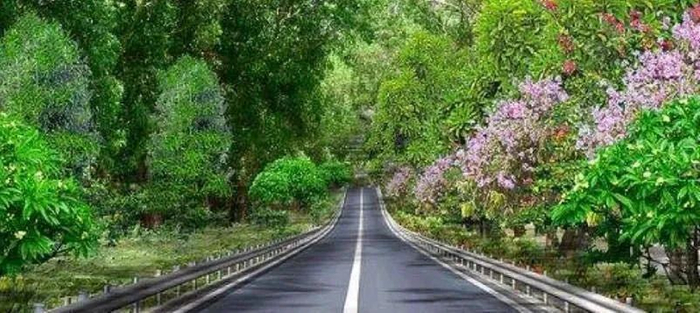 图片来源：广州日报