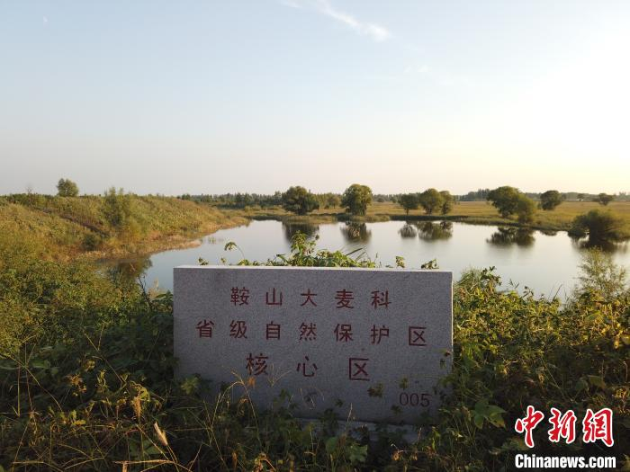 鞍山大麦科湿地。　李晛 摄
