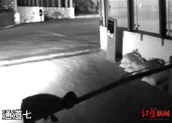 ▲监控视频显示，醉酒男子被升降杆绊倒后倒地不起