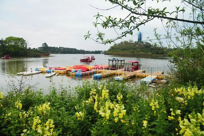 南宁花雨湖景区。记者 刘增璇 摄
