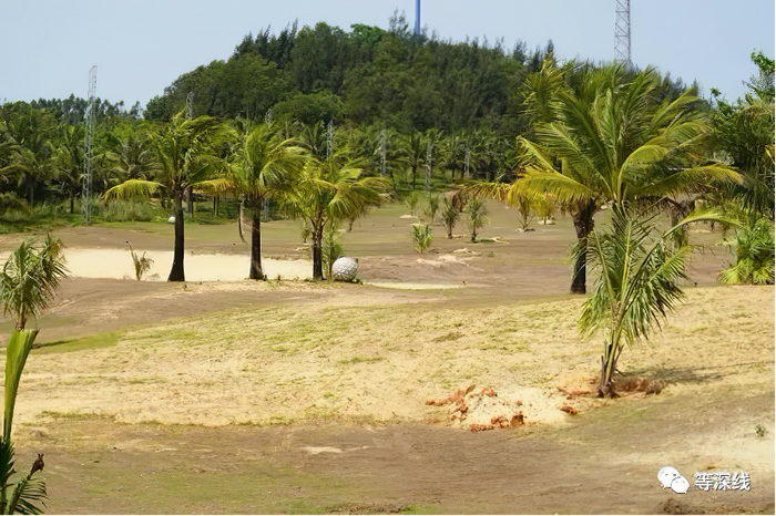  海南明日香的早期7位股东计划投50亿日元，但实力不够。张家慧、刘远生获取该项目后，也无法支撑该项目，2019年时，该高尔夫球场已具雏形，有沙坑及防护网，但草坪却光秃秃的，见不到多少草。&nbsp;《等深线》记者 程维 &nbsp;摄