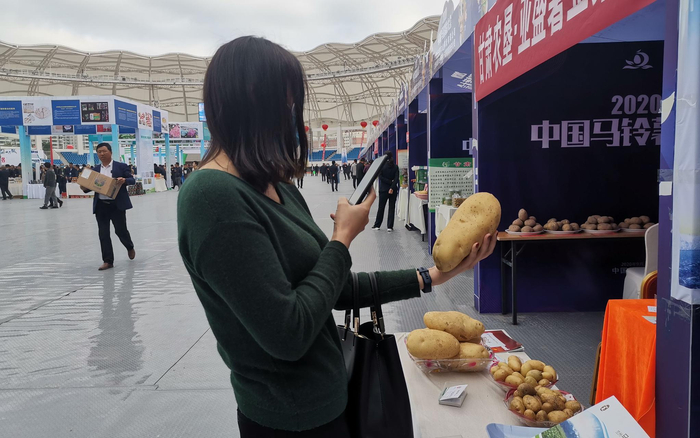 参观的市民拿起展示的大个土豆自拍。新京报记者 周怀宗 摄