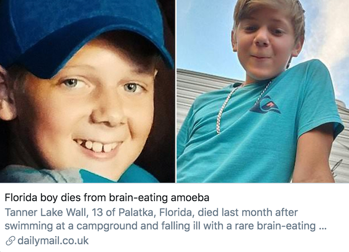 佛罗里达州男孩死于食脑虫感染。/ 《每日邮报》报道截图