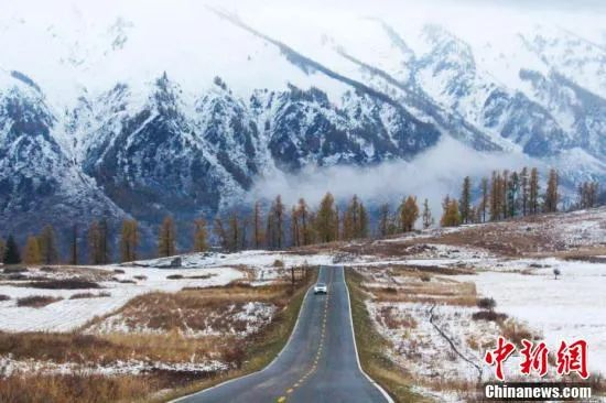 金秋十月，新疆喀纳斯大雪过后，秋景迷人。中新社发 张鑫 摄 图片来源：CNSPHOTO