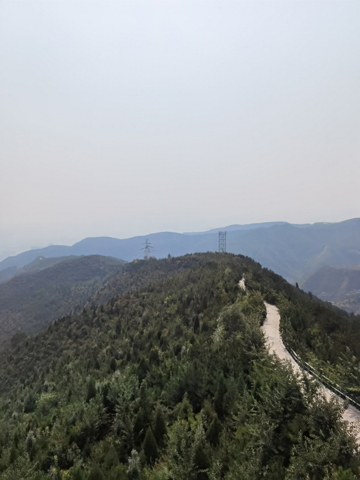 昔日废矿旧地变身城郊森林公园，栽植各种树木550余万株。