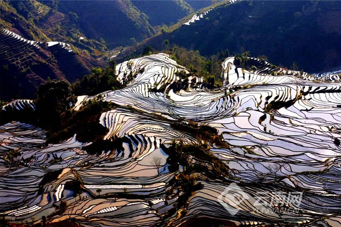 元阳梯田。孙晓云 摄