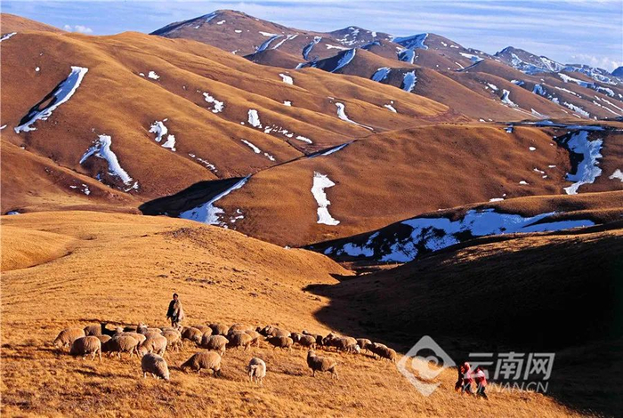 会泽大海草山秋色。刘建华 摄