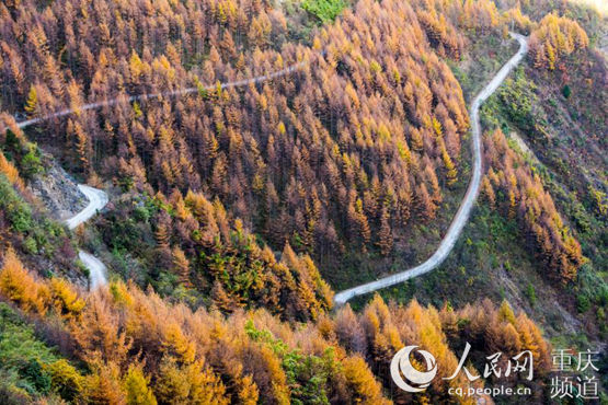 公路通向大山深处。叶娟摄