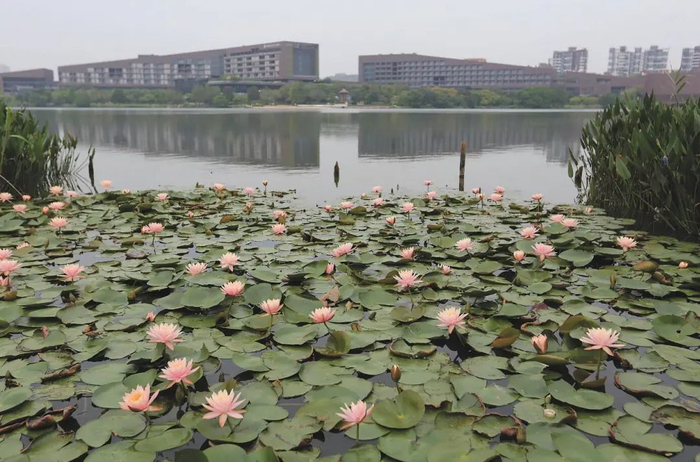 松山湖松湖烟雨景区风景宜人