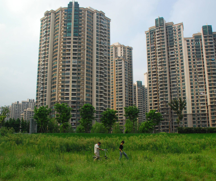 M50后面靠河岸的大片蕨类植物，河对岸就是中远两湾城，Jazz Lee拍摄于2009年8月16日。阿毛 供图