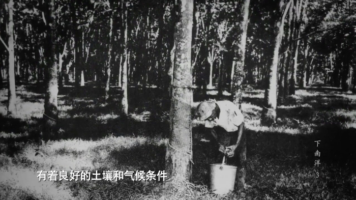 从“猪仔”到“主宰”,进击的东南亚华人