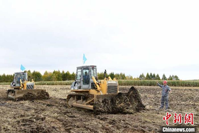 哈伊高铁项目总工期三年半。　姜久明 摄