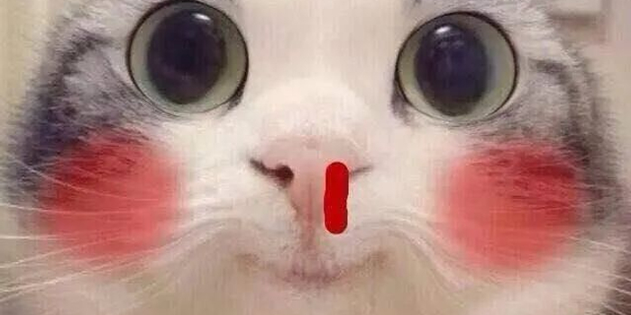 好怕怕！孩子反复流鼻血，是得了白血病吗？_手机新浪网