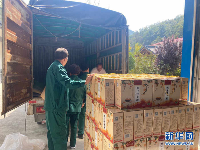 　　工作人员把包装好的柿子醋装车。新华网 吴咏玲摄