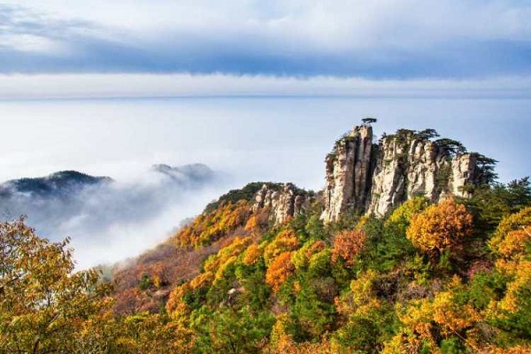 图说：“山盟海誓”主题系列产品