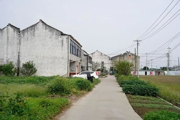 上家塘村。杨海摄