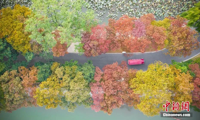 中新社发 苏阳 摄 图片来源：cnsphoto