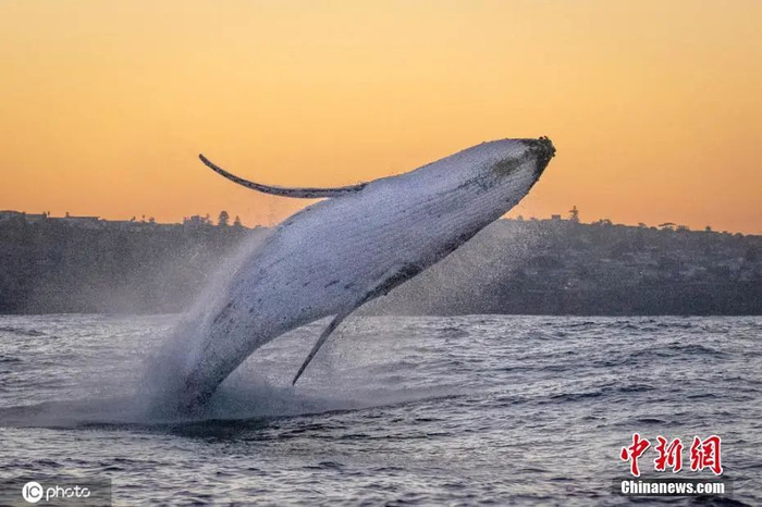 资料图。来源：ICphoto