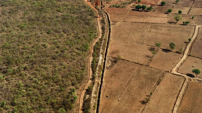 ▲一张由无人机拍摄的照片展示了国家公园和农田的边界，那里出现了人与野生动物的冲突。©Rolex/Marc Shoul