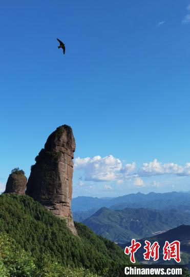 遂昌绿水青山 遂昌宣传部提供