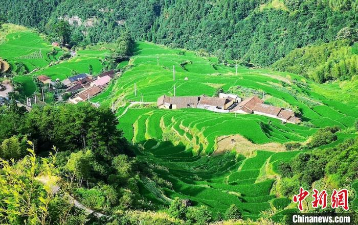 遂昌高坪乡 遂昌宣传部提供