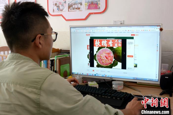 李向锋浏览运营“陈老师芭乐”电商淘宝店铺。　龚雯 摄