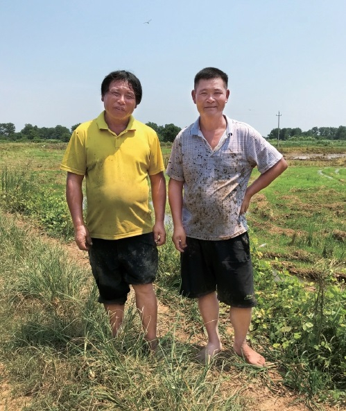 种粮大户文新华（左）在田间地头接受采访。