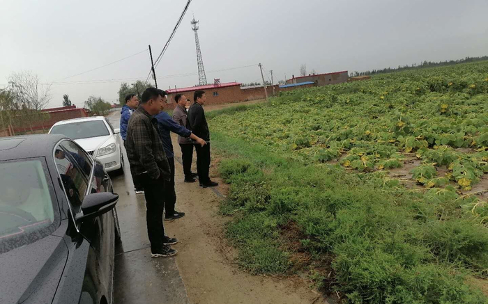 当地应急部门及保险公司查看受灾情况。受访者供图