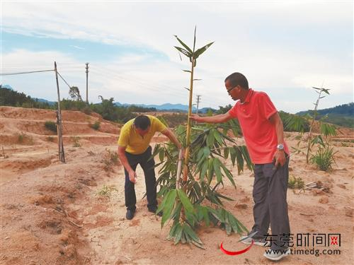 ■扶贫干部和当地干部正在介绍揭西县五经富镇泮坑村的甜笋种植项目