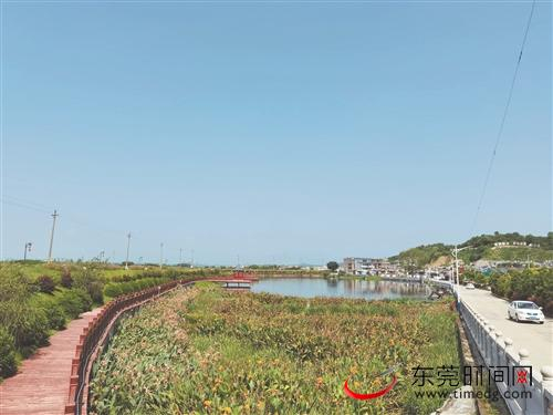 ■揭阳市揭西县棉湖镇鲤鱼沟村