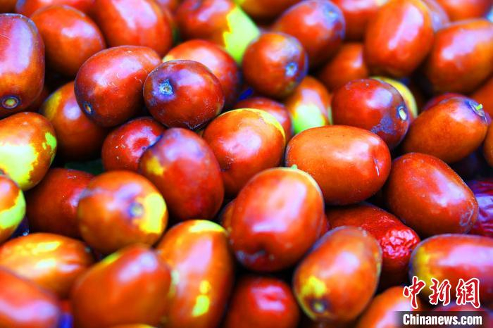 得益于得天独厚的自然环境和天山融雪水的资源，有机质含量高的土壤等，造就了托克逊县香甜可口的瓜果蔬菜等经济作物。　李靖海 摄