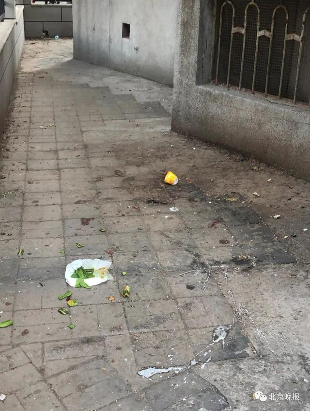 右安门街道翠林一里满地高空抛物