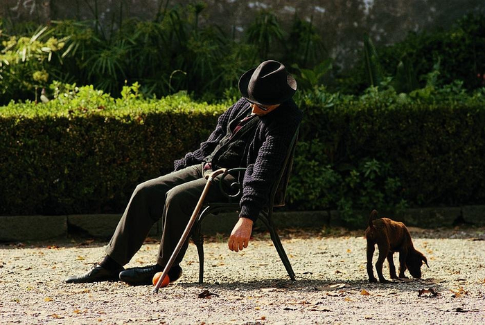 《教父3》结尾镜头，迈克尔·柯里昂独自一人在花园中死去。