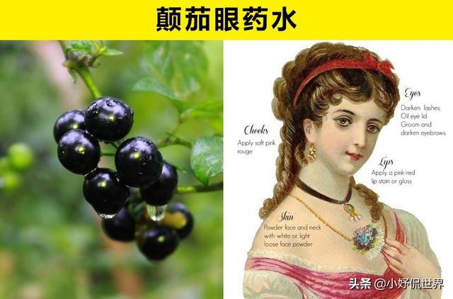 人类历史上出现过的10种非常可怕的潮流