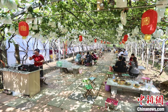 各种各样的葡萄品种吸引众多游客前来品尝。　孙科强 摄