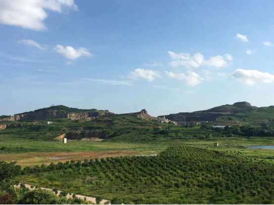 ▲生态修复后的大洪山林区